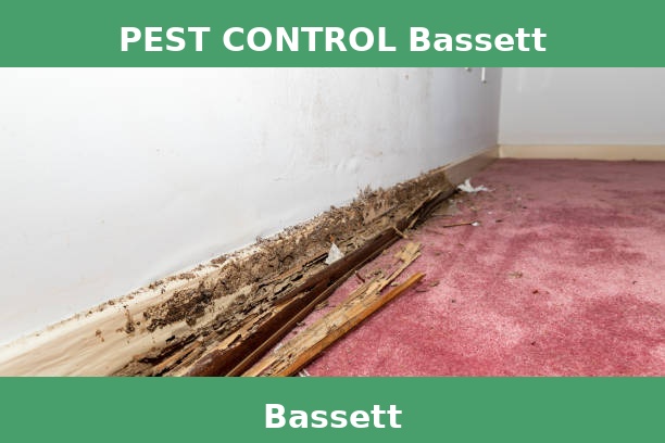 PEST CONTROL Bassett
